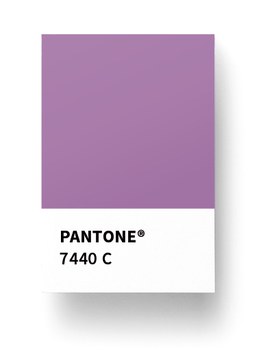 Biancolapis Design 7. Colore nel logo. Pantone 7740
