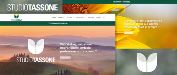 Studio Tassone sito web - Biancolapis - Design per la Comunicazione